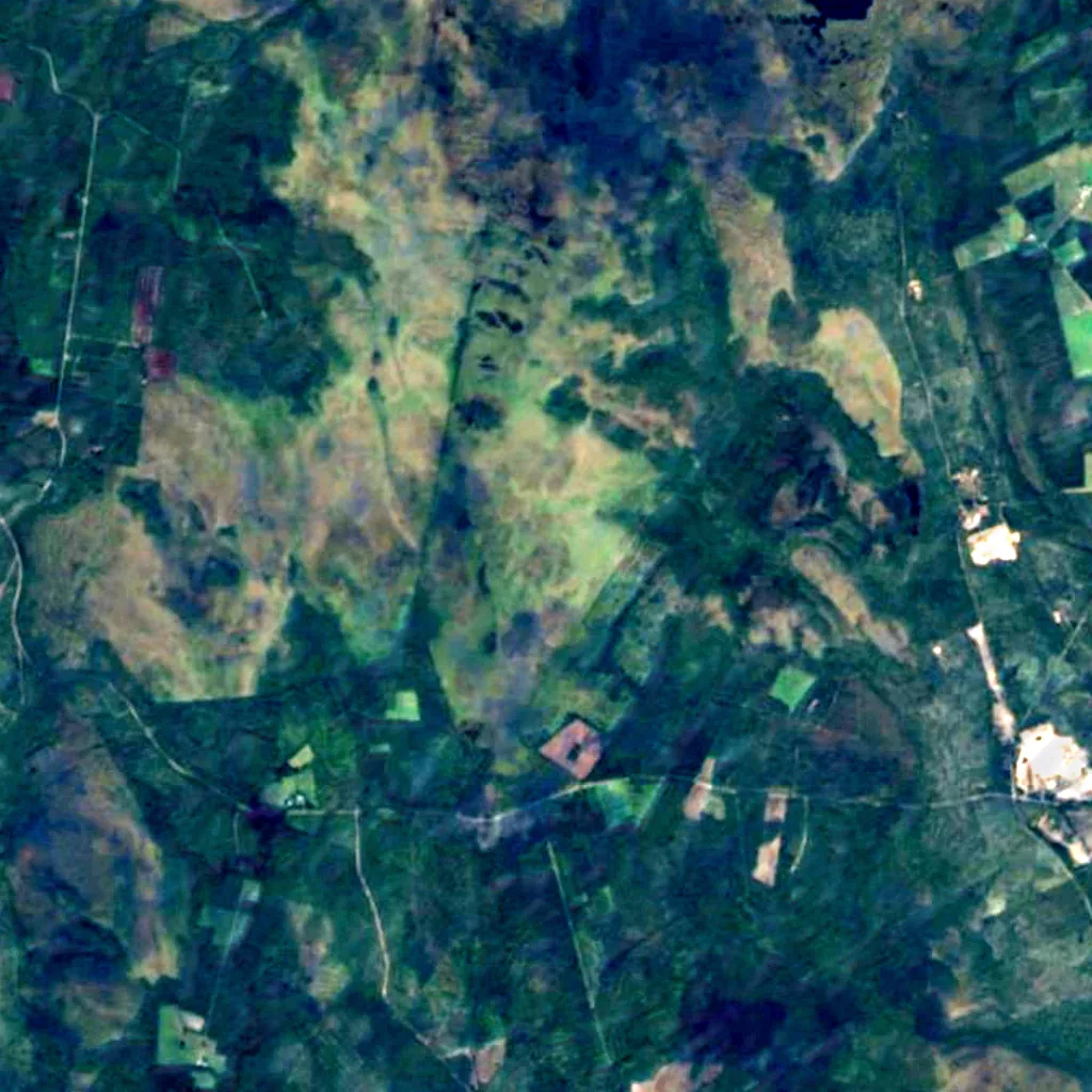 Kauhaneva–Pohjankangas National Park seen from above (Sentinel-2)