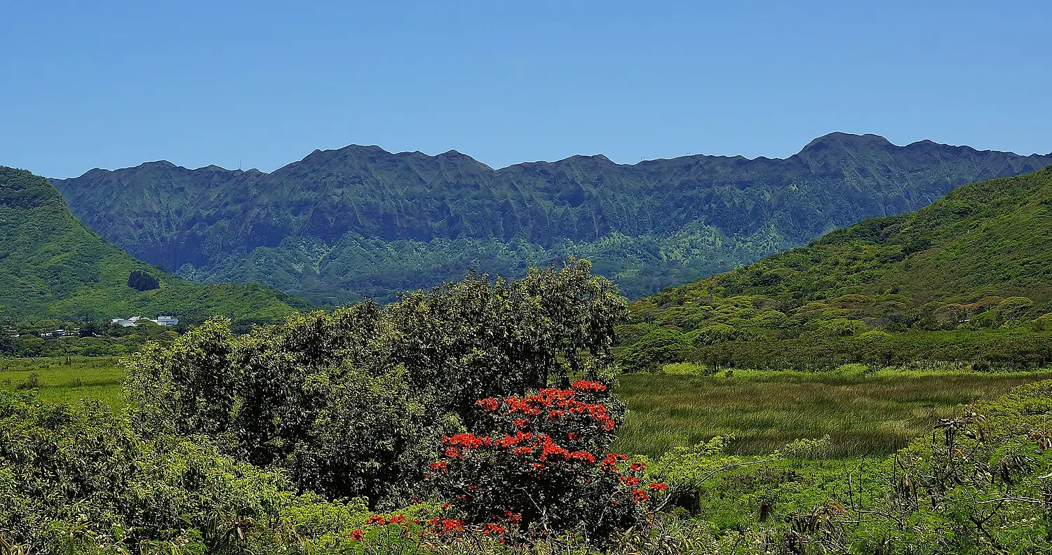 Koolau Mountains over Kawainui Marsh , Eric Tessmer, Hawaii - panoramio