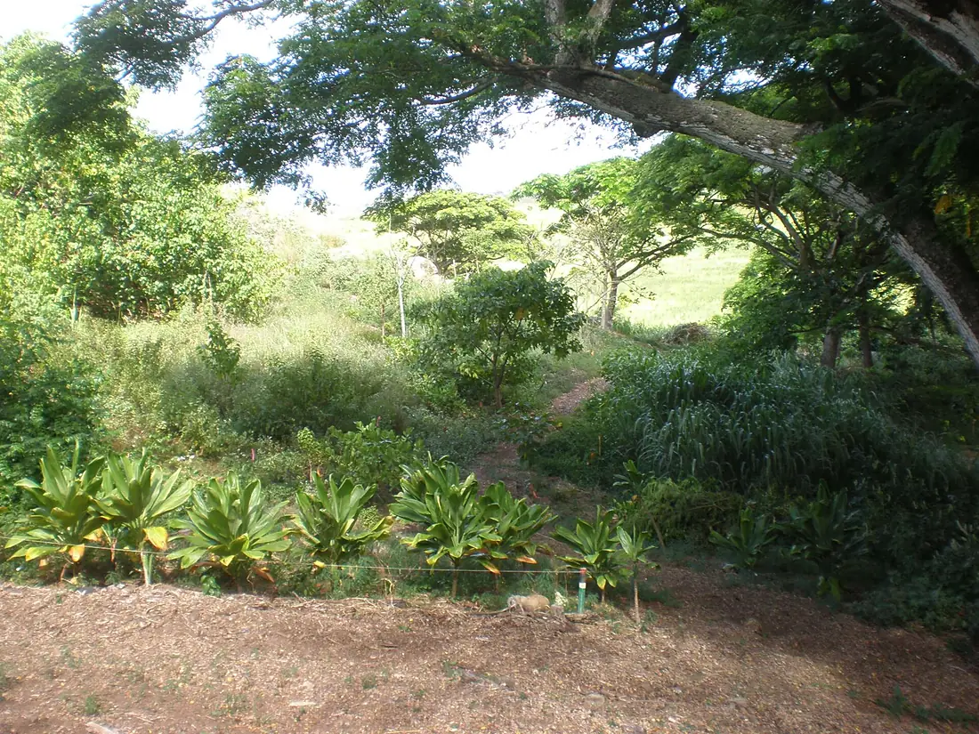 Heiau-Pahukini-view-toward-Kawainui