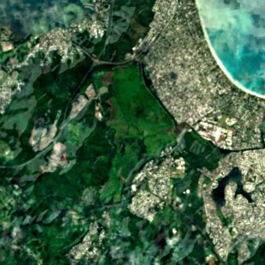 Kawai Nui Marsh vu d'en haut (Sentinel-2)