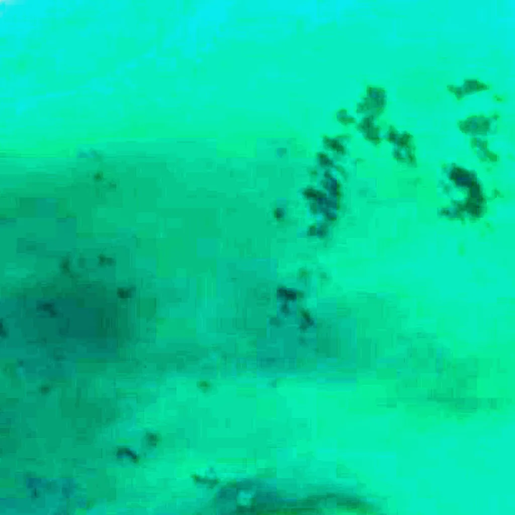 Kayrakkum Reservoir seen from above (Sentinel-2)