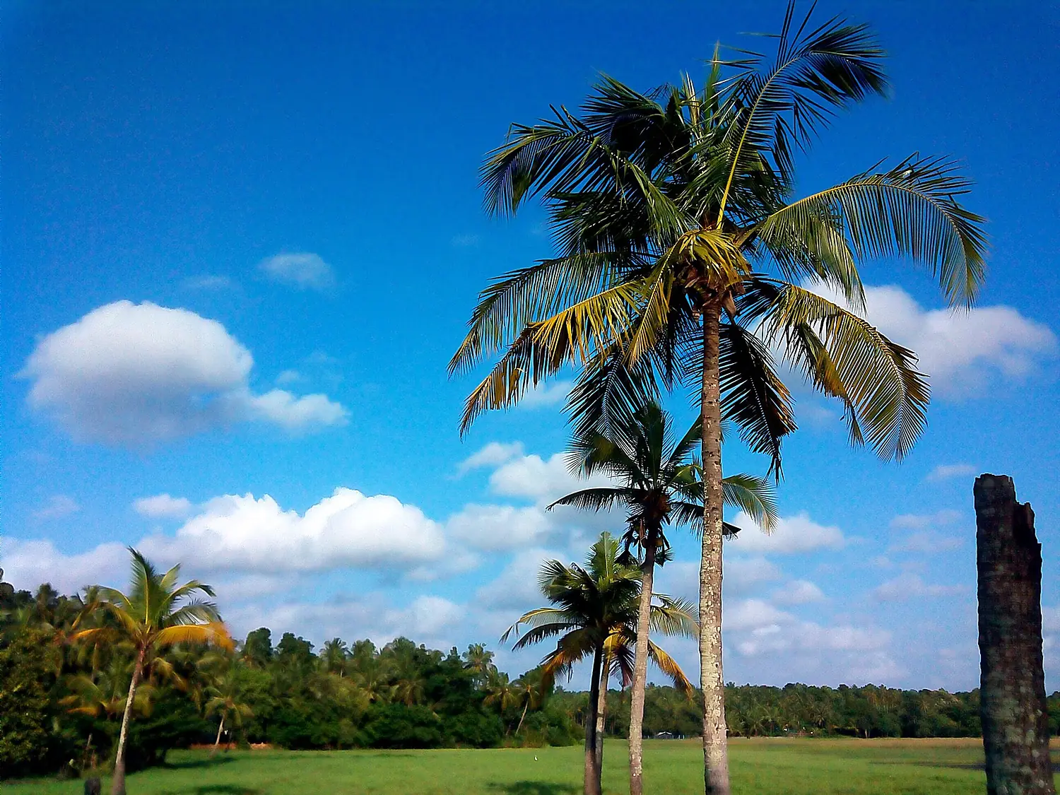 Edappal malappuram(district) kerala infia