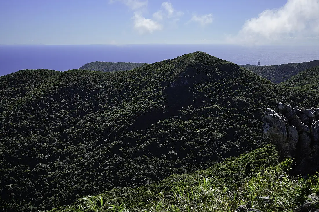 Mount Awa seen from Mount Katsuu 202607