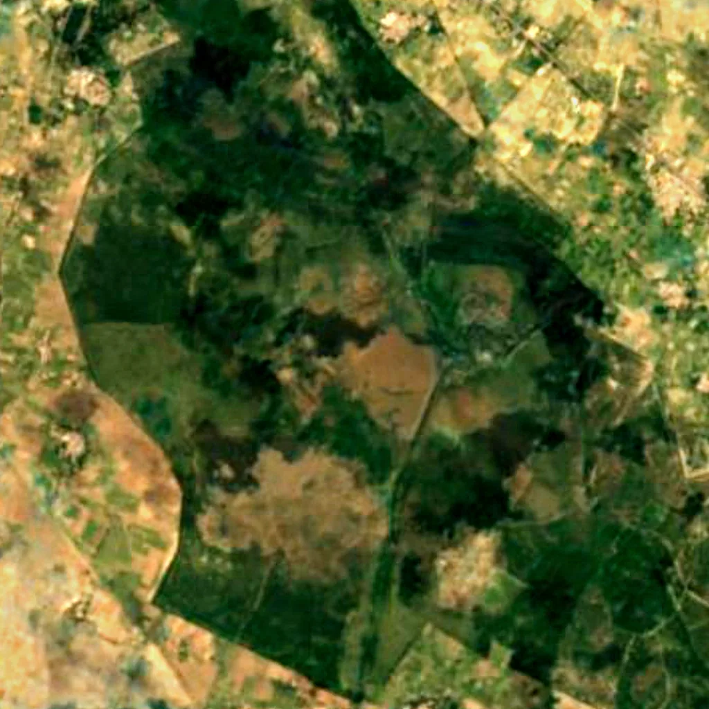 Kevladev National Park seen from above (Sentinel-2)