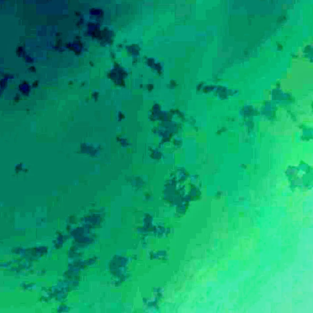 Lac Khar-Us vu d'en haut (Sentinel-2)