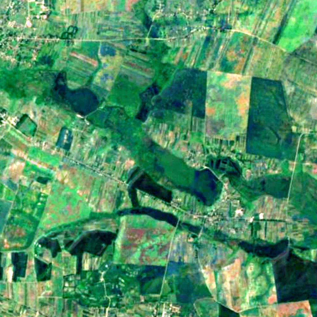 Kholoniv nature reserve vu d'en haut (Sentinel-2)