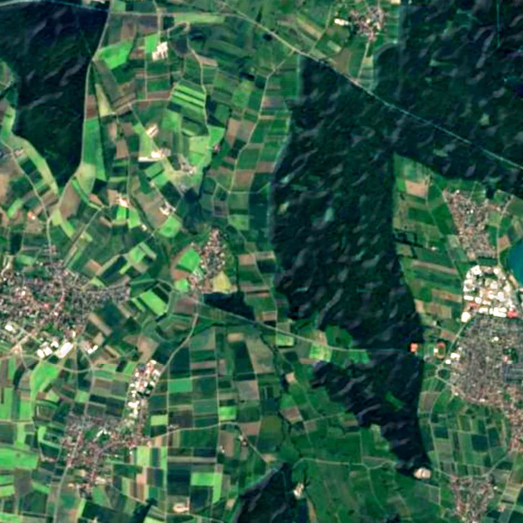 Kinzig-Schutter-Niederung seen from above (Sentinel-2)