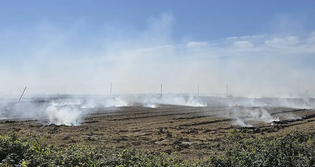 Burning fields in KızılIrmak Delta