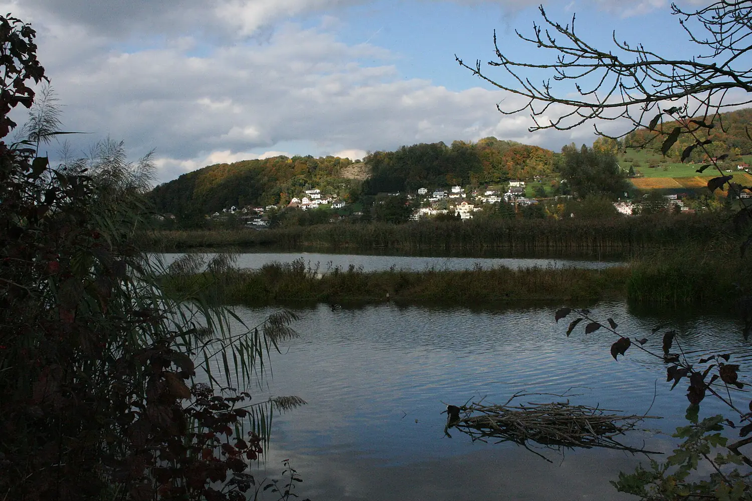 Klingnauer Stausee 2008 10 17 000