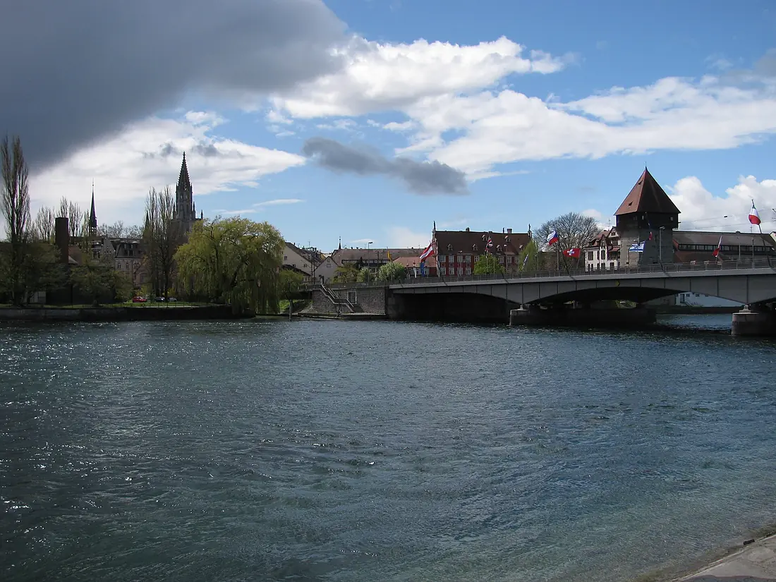 D-BW-KN-Konstanz - Vogelschutzgebiet 'Konstanzer Bucht des Bodensees' 002