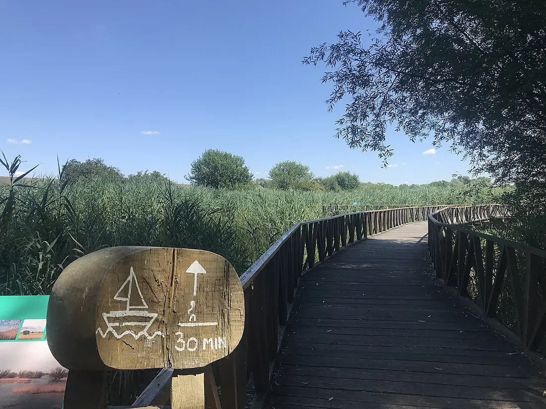 Kopački Rit, walking trail, Kopačevo, 2025 (1)