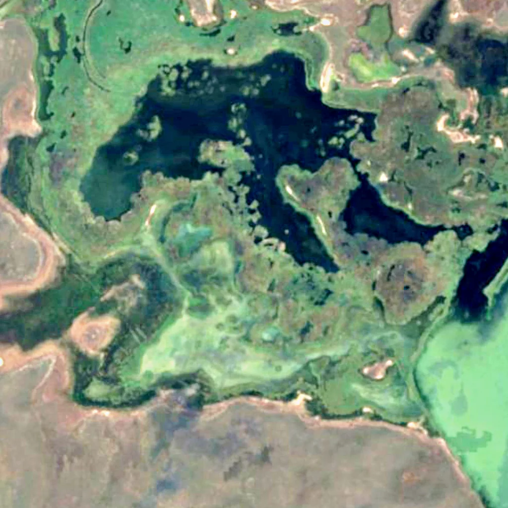 Riserva naturale di Korgalzhyn visto dall'alto (Sentinel-2)