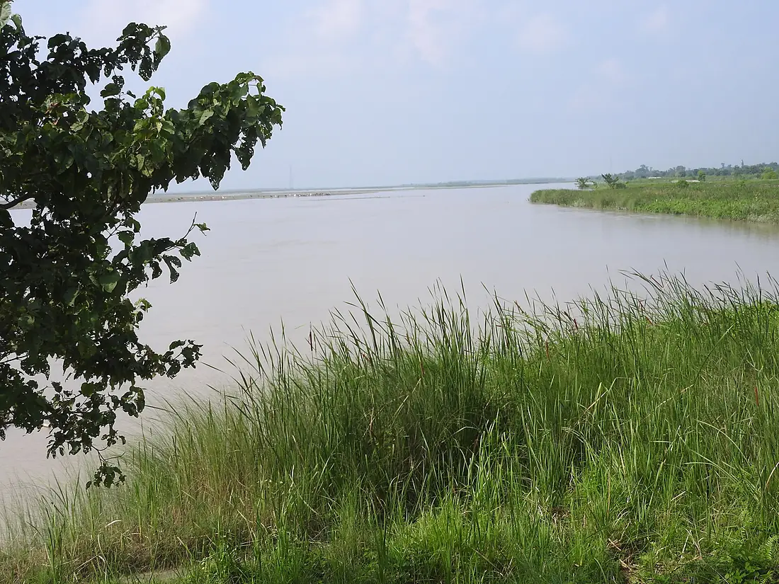 Floodplain of Koshi River