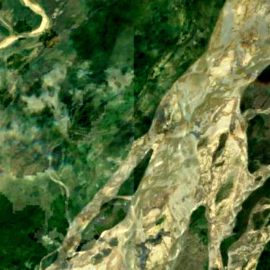 Koshi Tappu Wildlife Reserve seen from above (Sentinel-2)