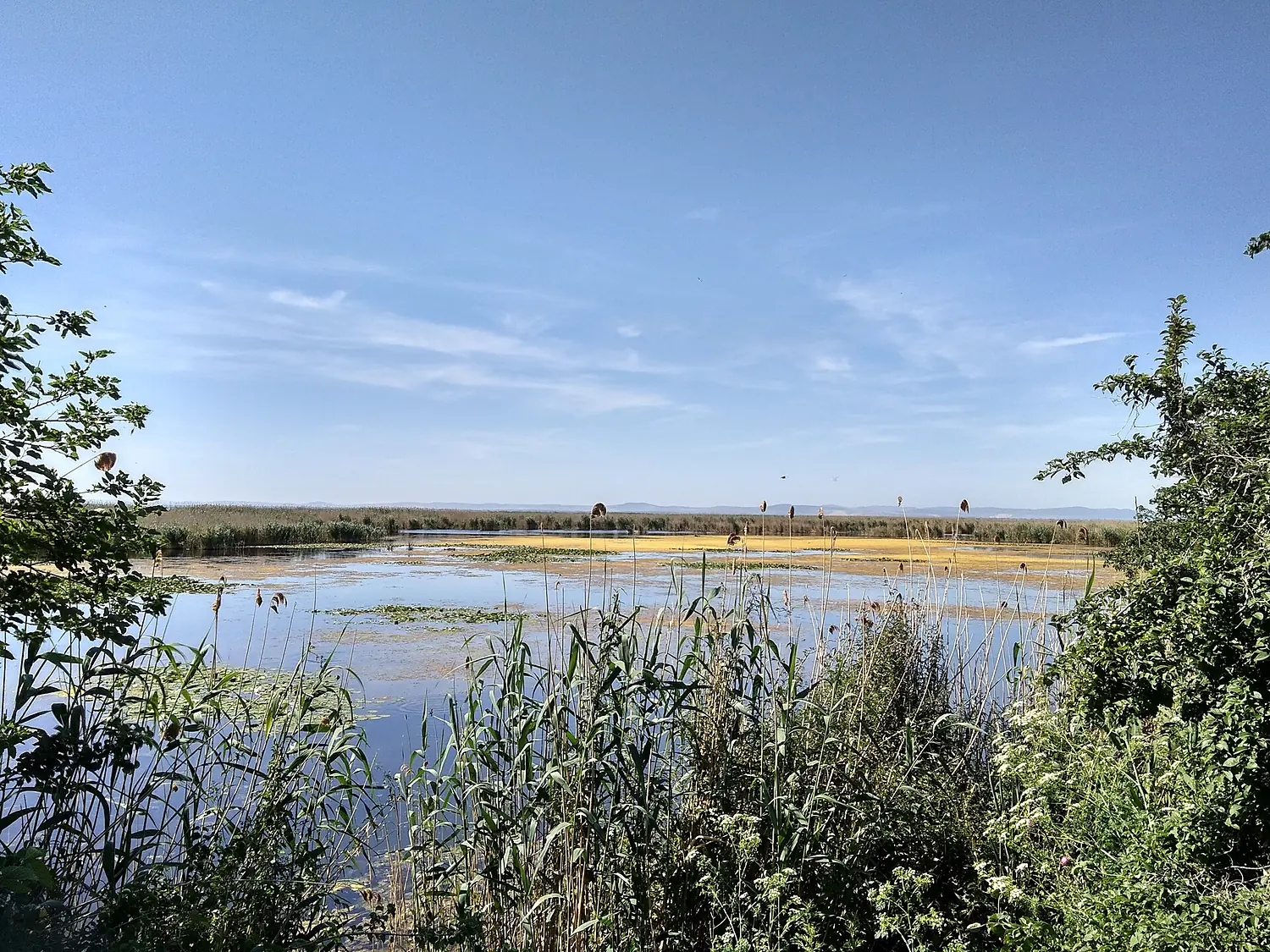 Lake Kuhurlui6