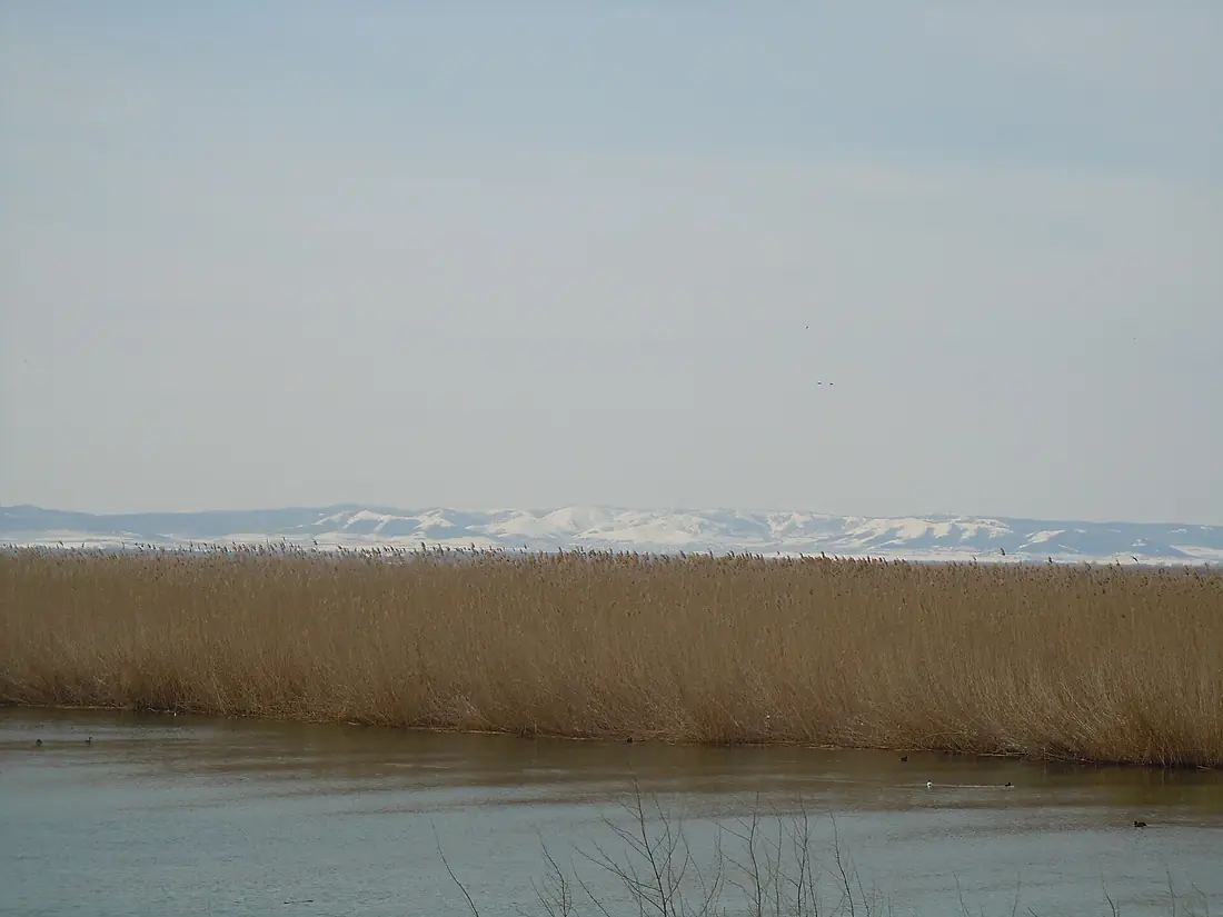 Lake Kuhurlui 1