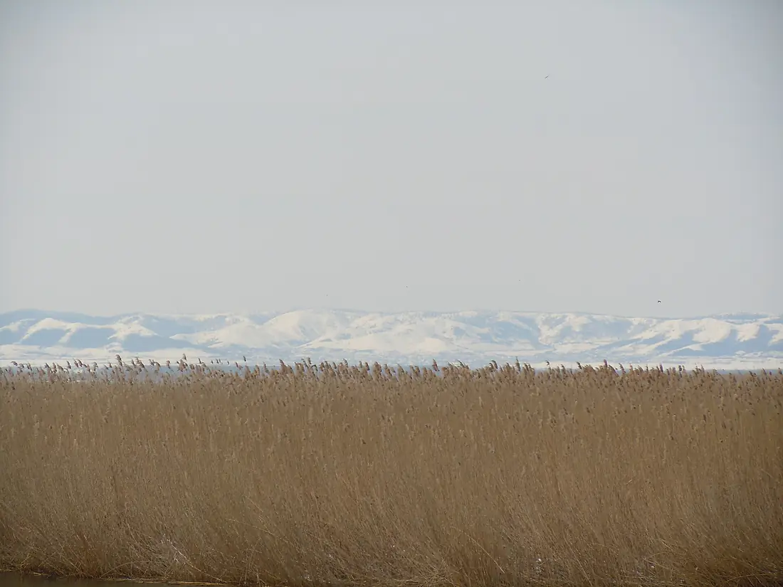 Lake Kuhurlui 2
