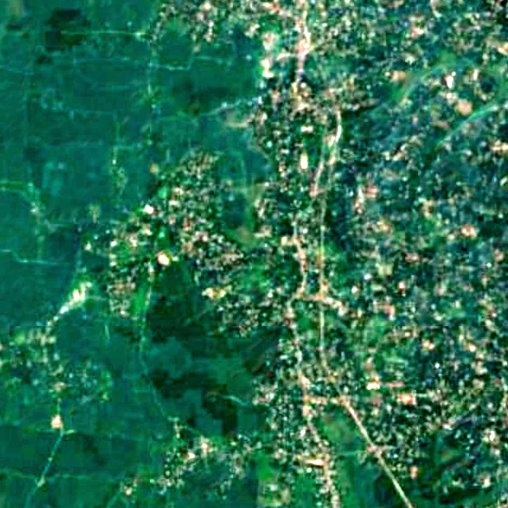 Kumarakom Bird Sanctuary seen from above (Sentinel-2)