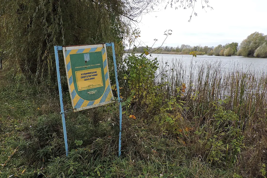 Заказник Кузьминський. 27.10.2018