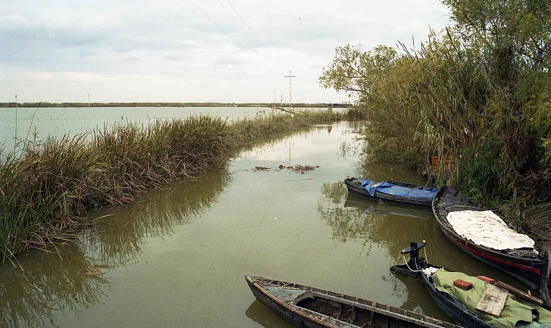 Albufera005