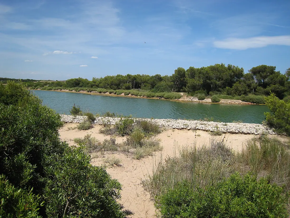 Albufera de Valencia I