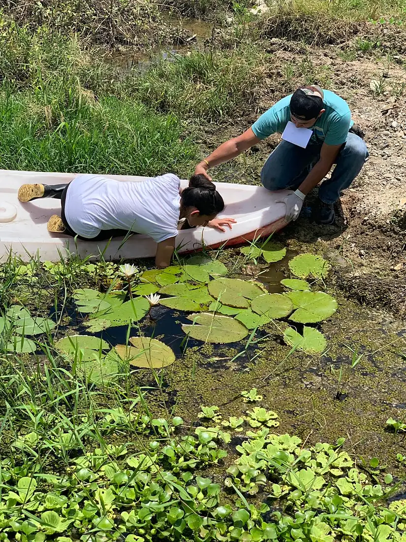 Sampling La Tembladera