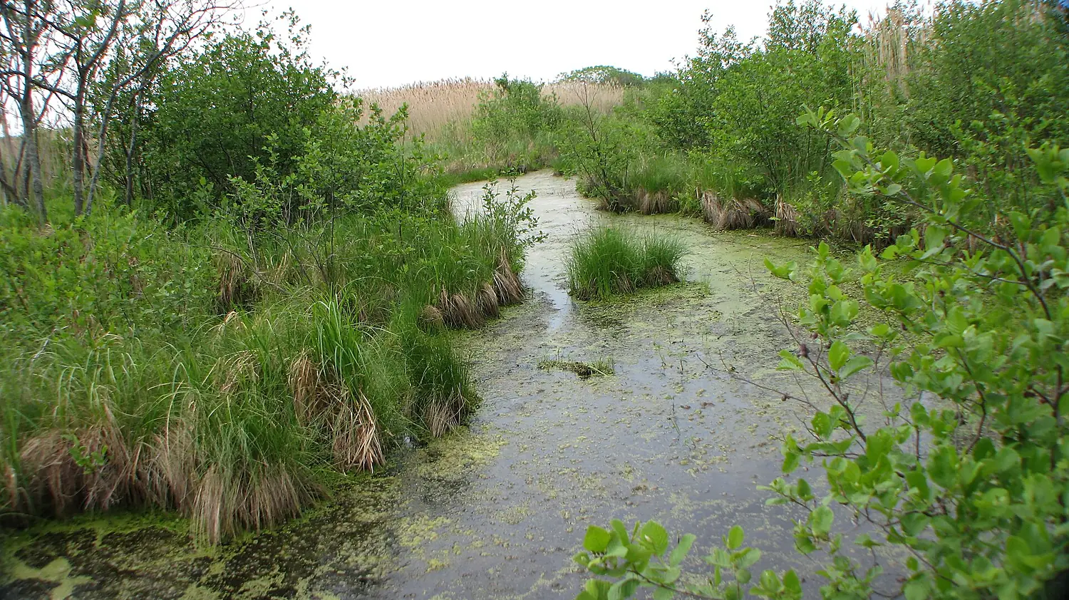 Réserve nationale de faune du lac Saint-François
