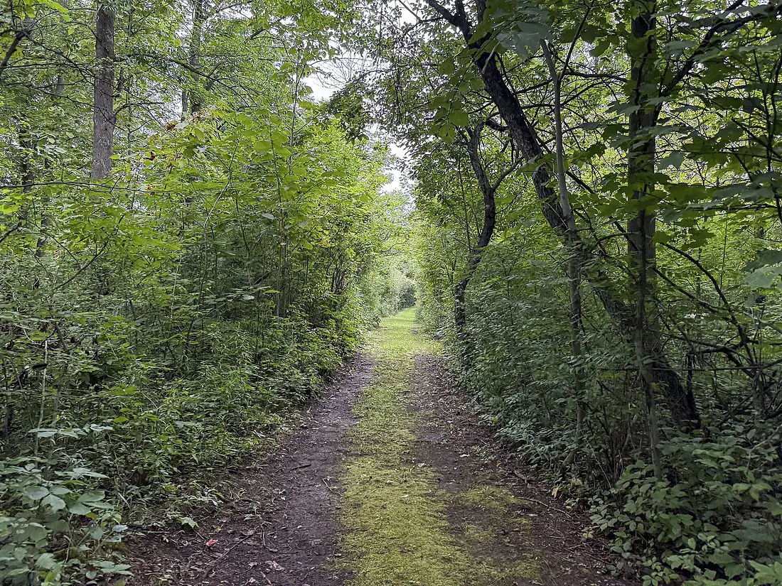 Réserve nationale de faune du Lac-Saint-François, Dundee, Quebec, Canada