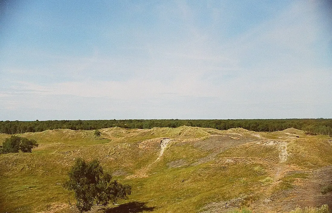 Højsande læsø