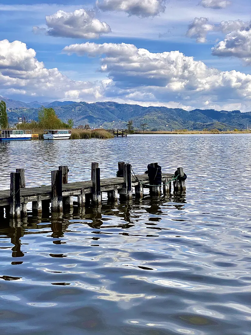 Lago di Massaciuccoli, Belvedere Puccini