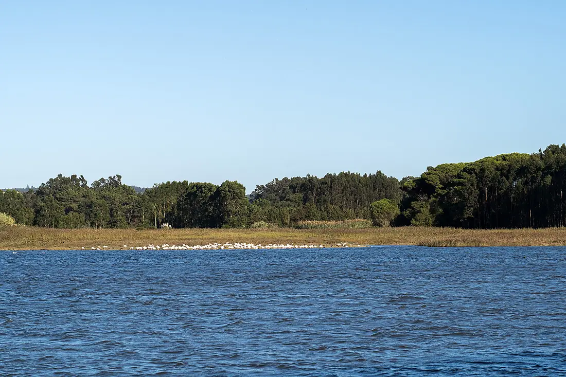 2025-09-21 Lagoa de Óbidos 01