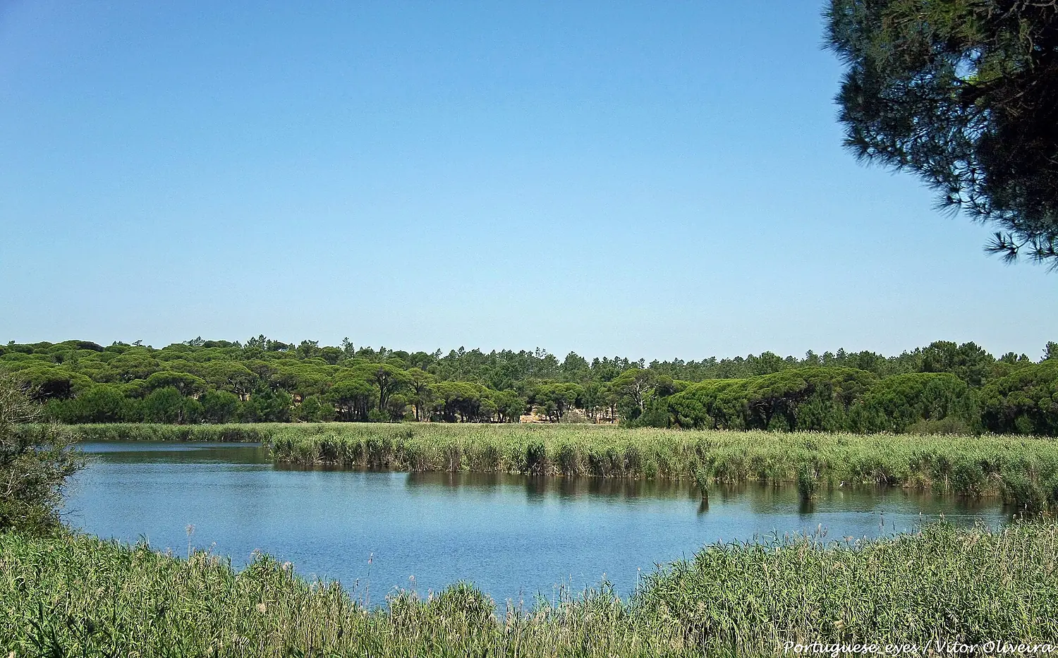 Lagoa Pequena - Portugal (28833053757)
