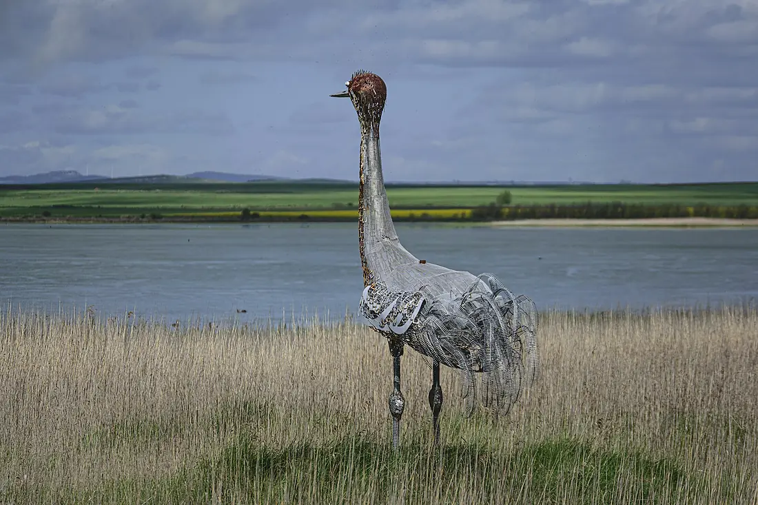 20250503 GALLOCANTA (10)-1