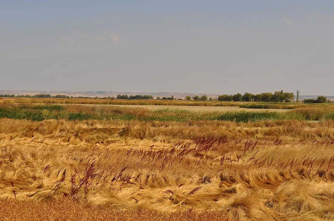 LAGUNA DE LA NAVA - panoramio
