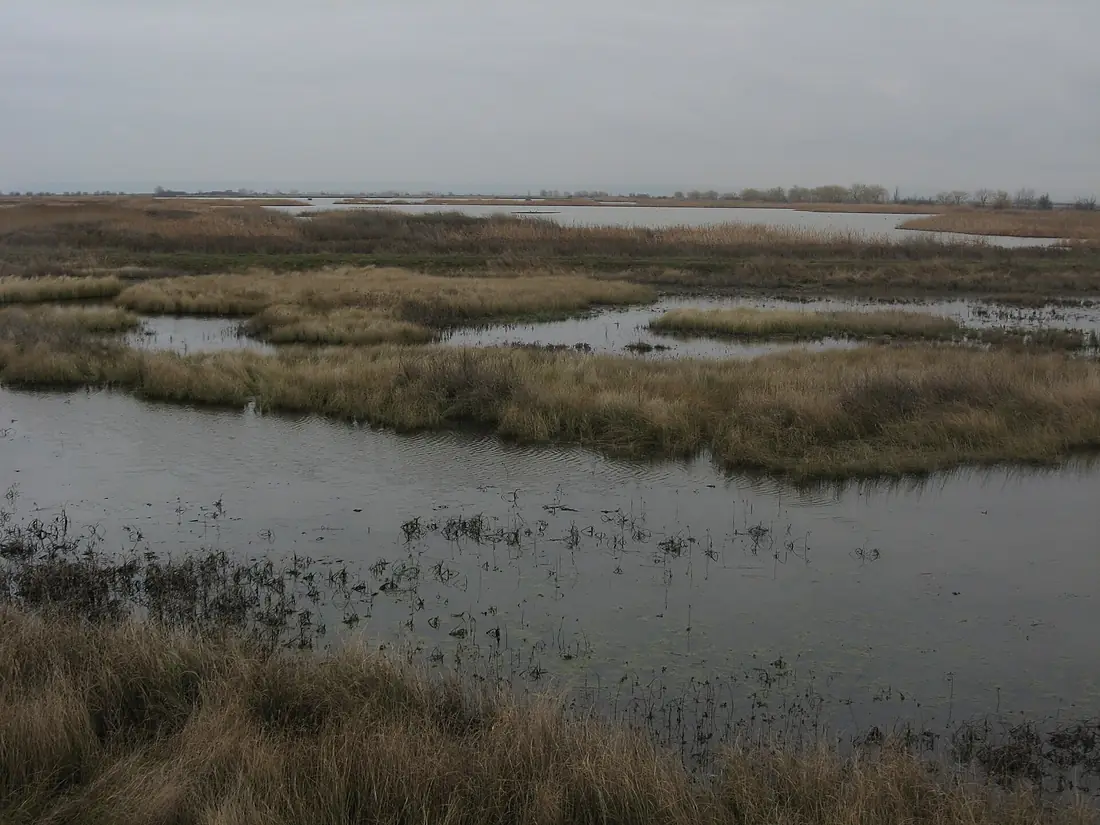 Laguna de la Nava 2