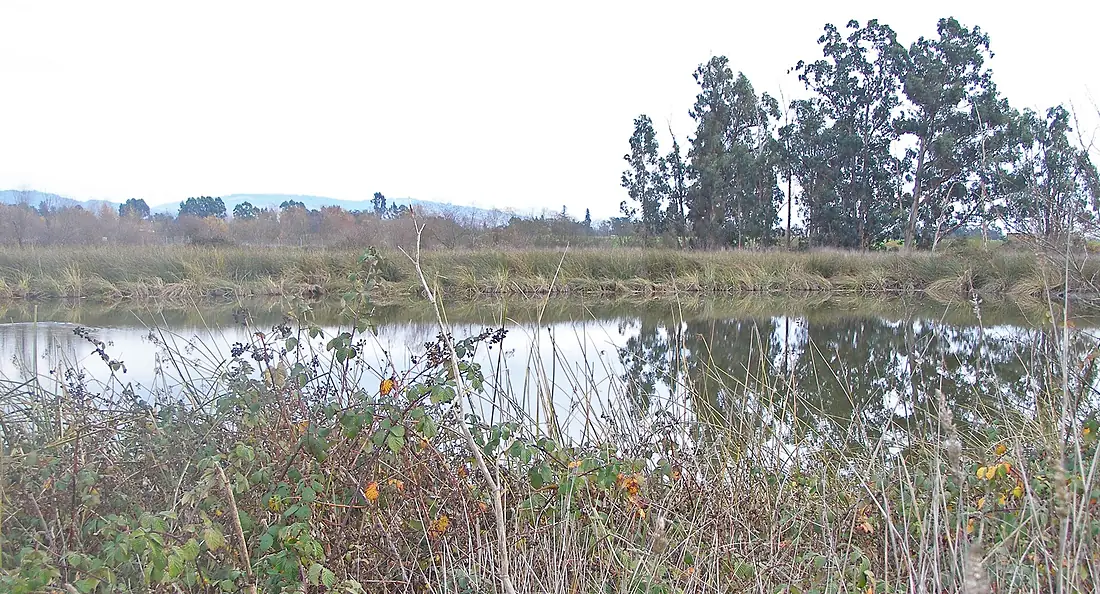 Lagunatulewqpond