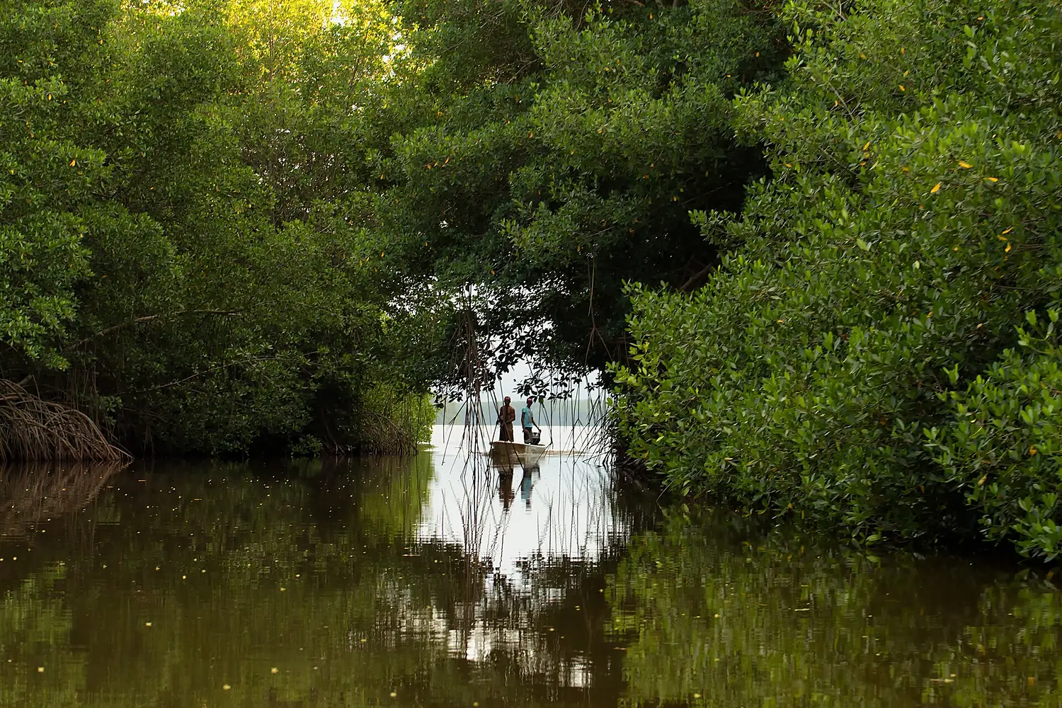 Tacarigua Lagoon National Park - Parque Nacional Laguna de Tacarigua (10321479463)
