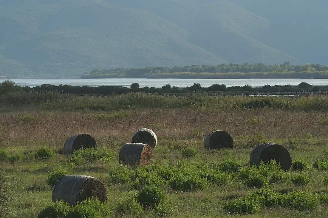 Dai prati alla laguna
