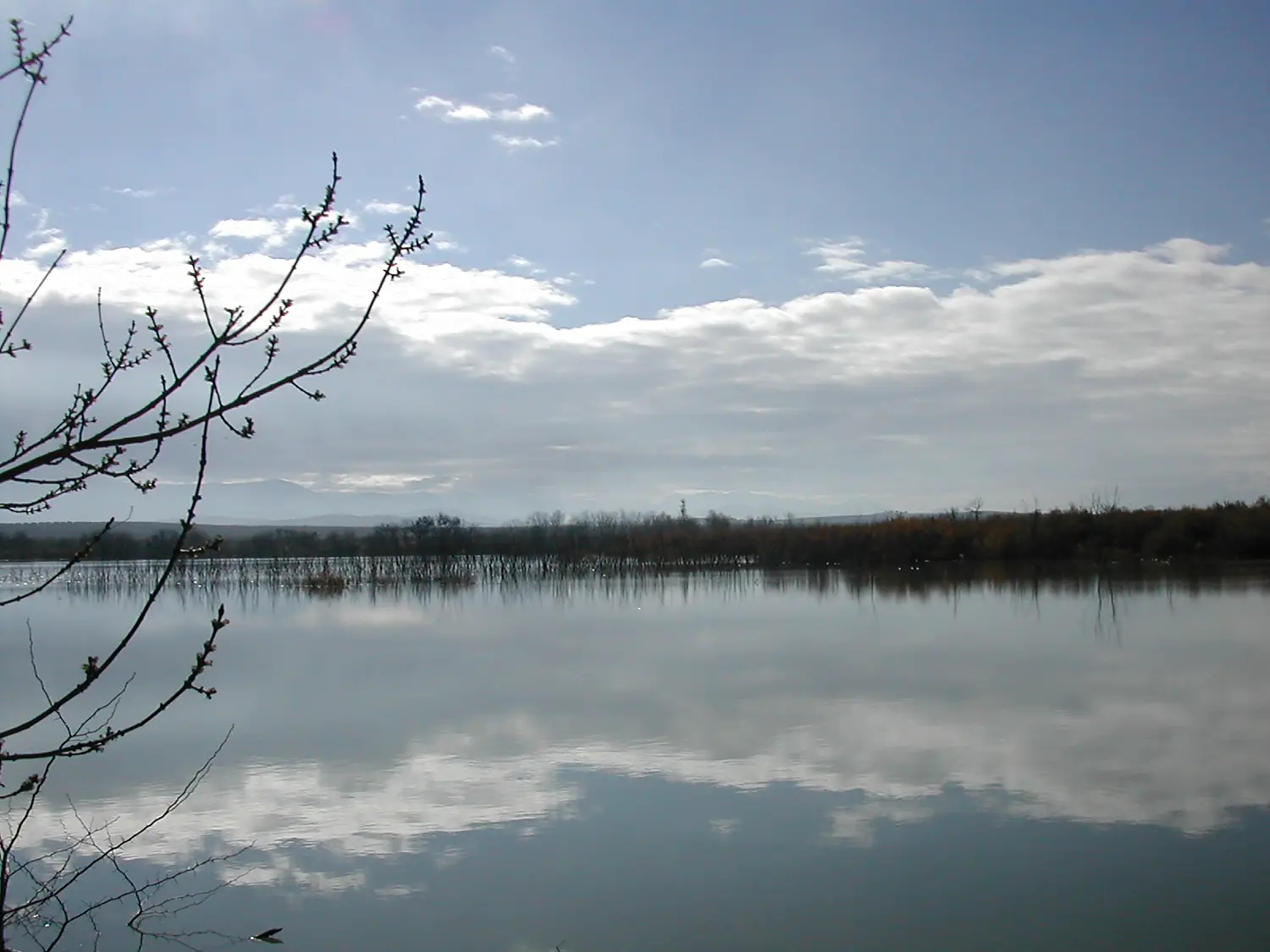 Laguna Grande Baeza