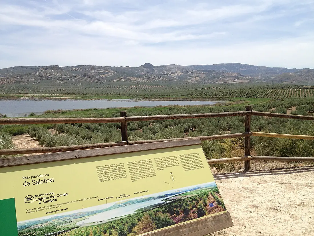 Mirador de la Laguna del Salobral (7361888528)