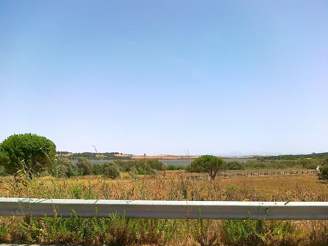LagunaMedina-31072013534