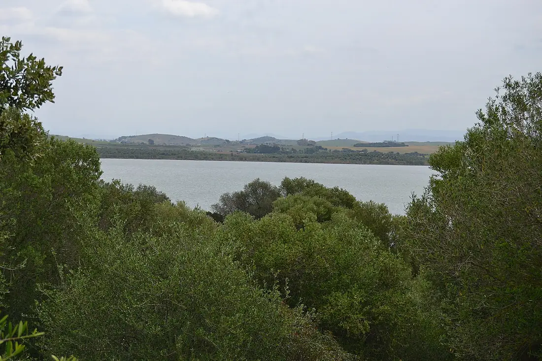 Laguna de Medina (34327366045)