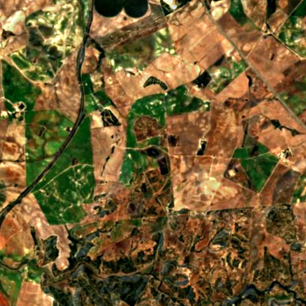 Lagunas de Las Canteras y el Tejón seen from above (Sentinel-2)