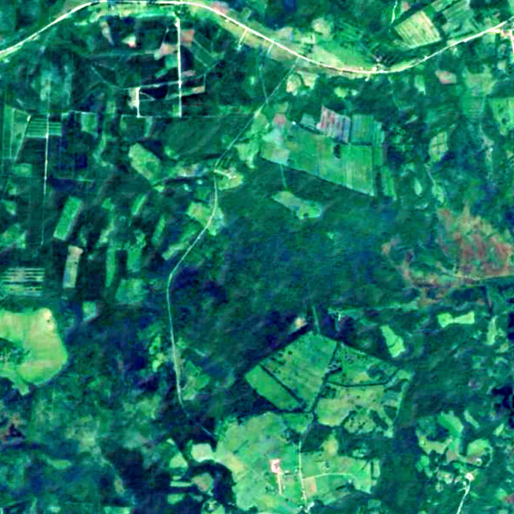 Laidevahe Nature Reserve seen from above (Sentinel-2)