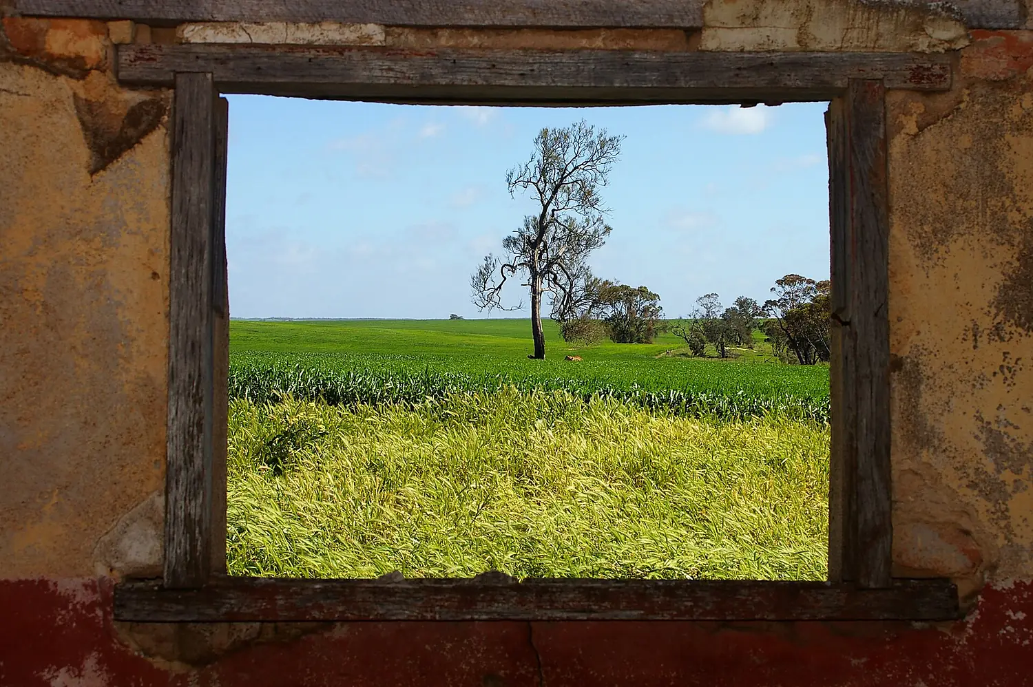 View from side window of Ruin overlooking Lake Albacutya, in the north west of Victoria, Australia. - panoramio