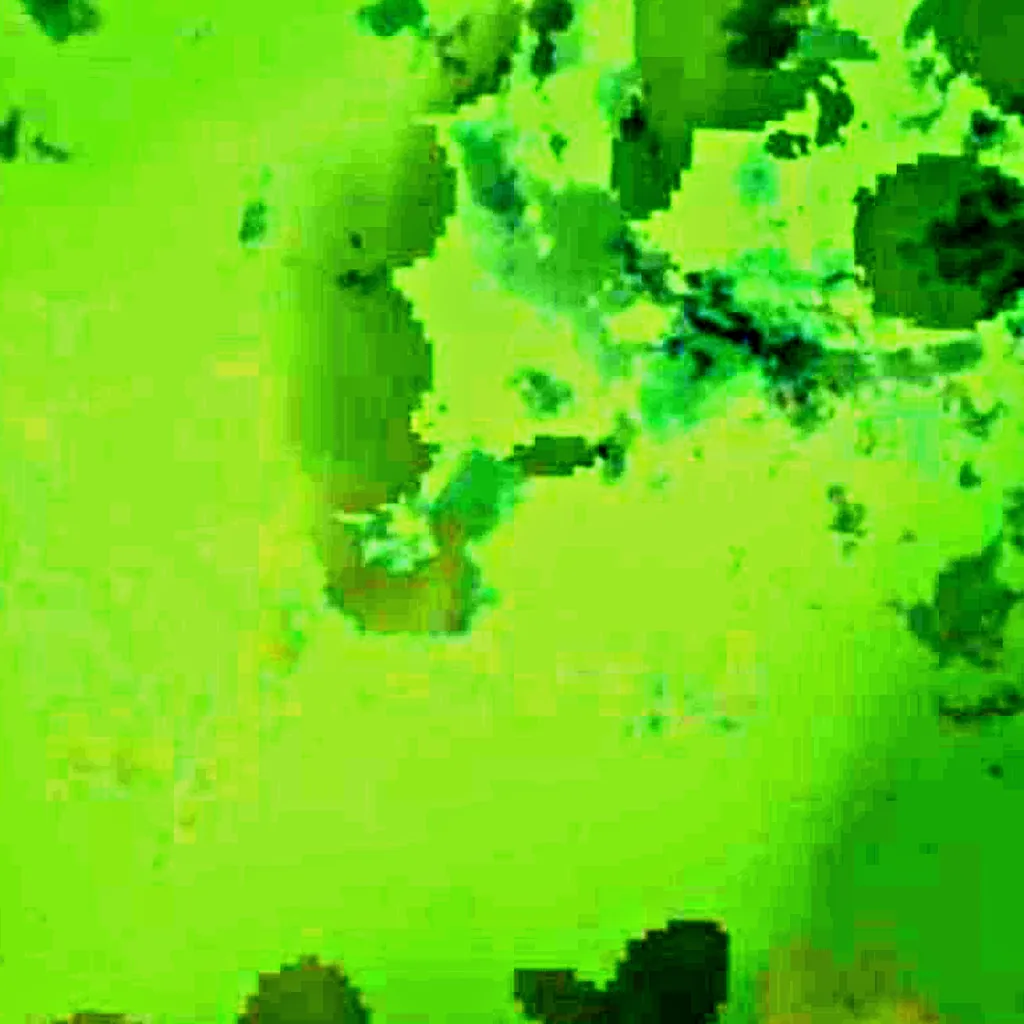 Lake Alexandrina seen from above (Sentinel-2)