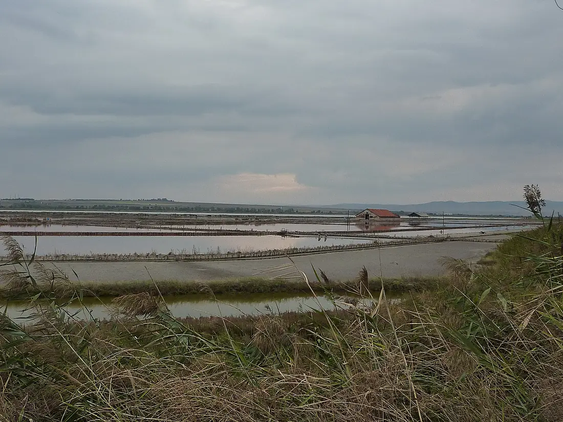 Atanasovsko Lake - rail tracks - P1020295