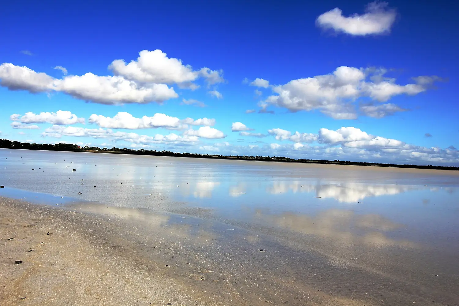 Lake Beeac Reflections