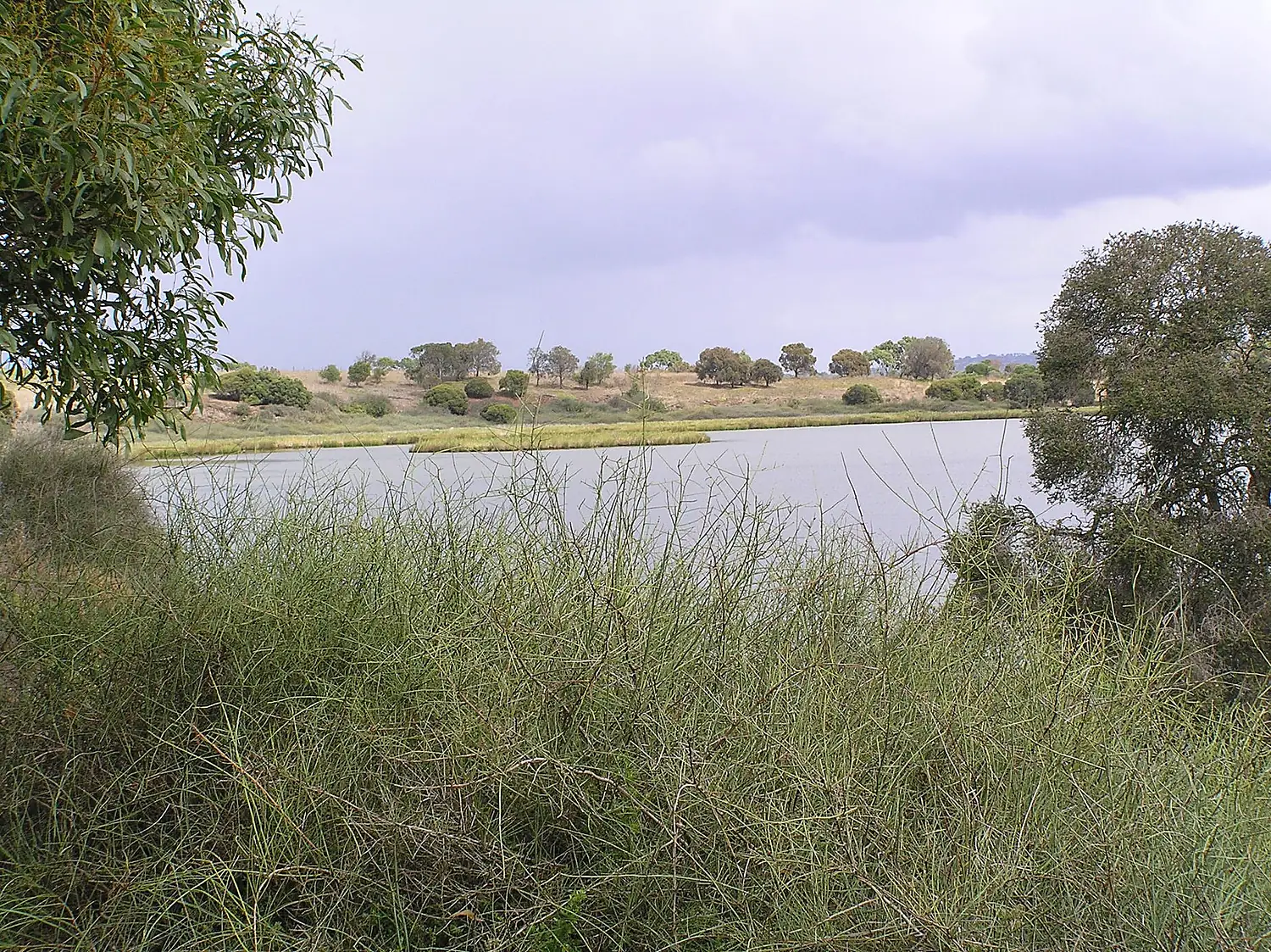 Lake Connewarre from Tait Point 05