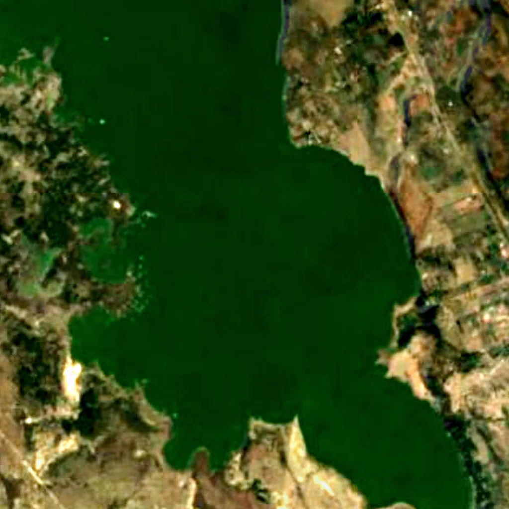 Lake Elmenteita seen from above (Sentinel-2)
